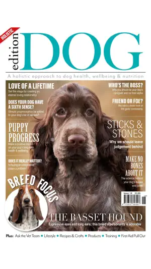 Edition Dog Magazine