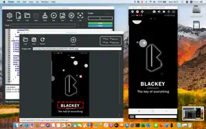 Blackey