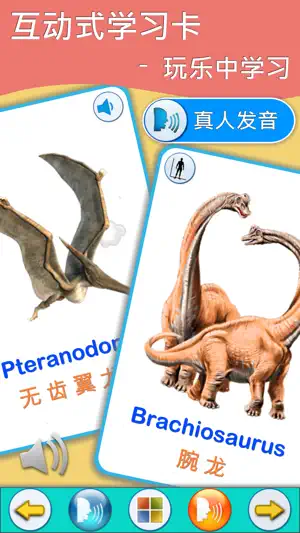 恐龙学习卡 : 恐龙百科