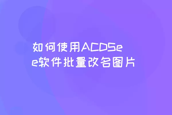 如何使用ACDSee软件批量改名图片