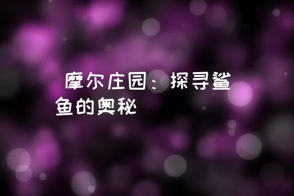  摩尔庄园：探寻鲨鱼的奥秘