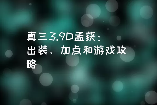 真三3.9D孟获：出装、加点和游戏攻略